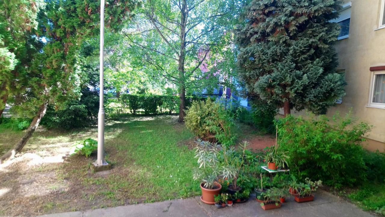 Sziget Apartman Еґер Екстер'єр фото